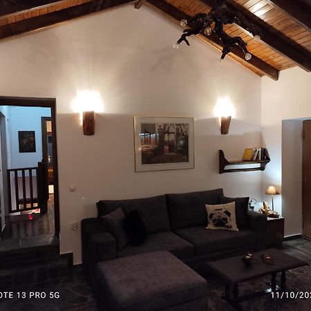 Вилла Litheon House Синикия-Меси-Трикала Экстерьер фото