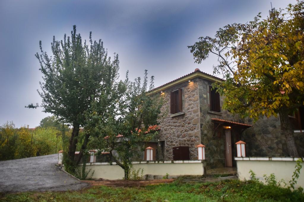 Вилла Litheon House Синикия-Меси-Трикала Экстерьер фото