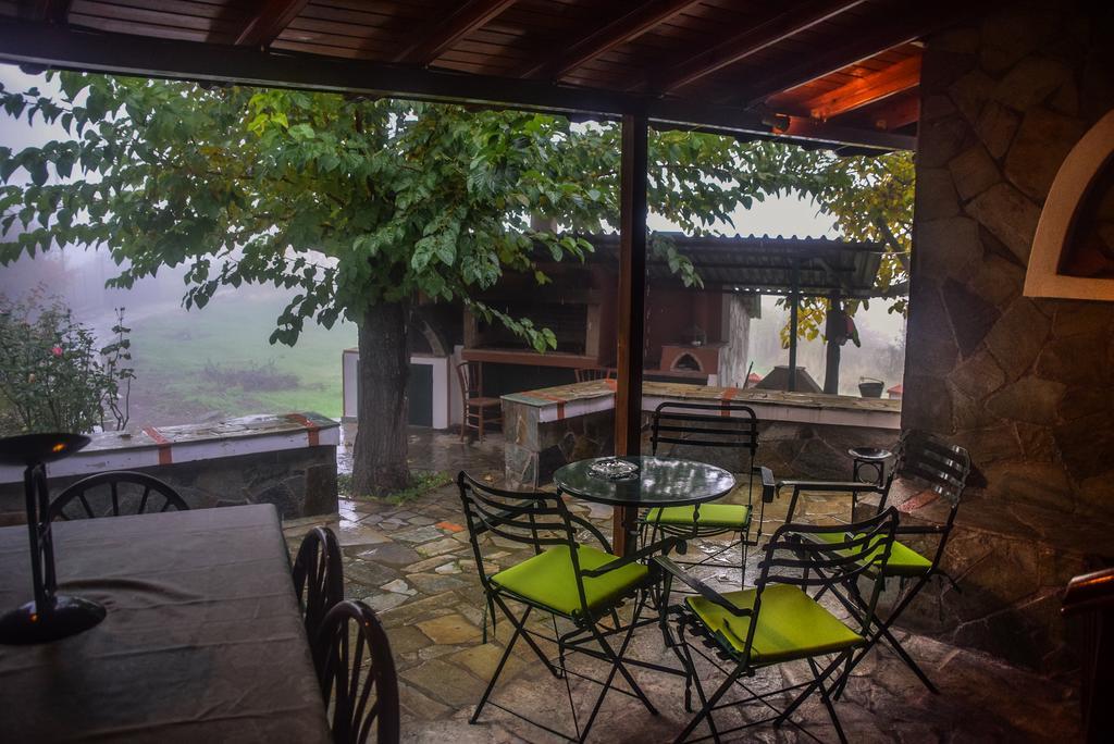 Вилла Litheon House Синикия-Меси-Трикала Экстерьер фото