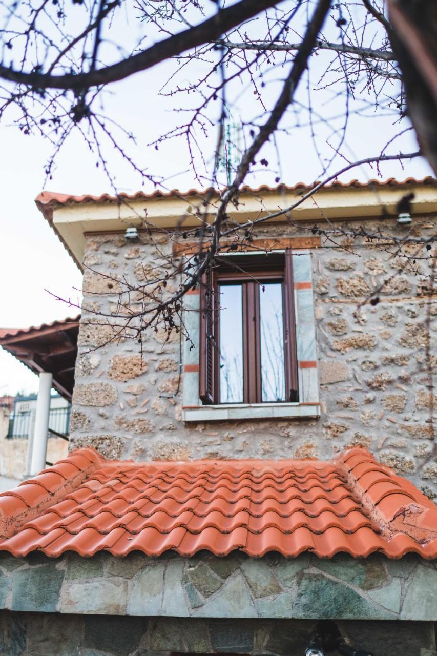 Вилла Litheon House Синикия-Меси-Трикала Экстерьер фото