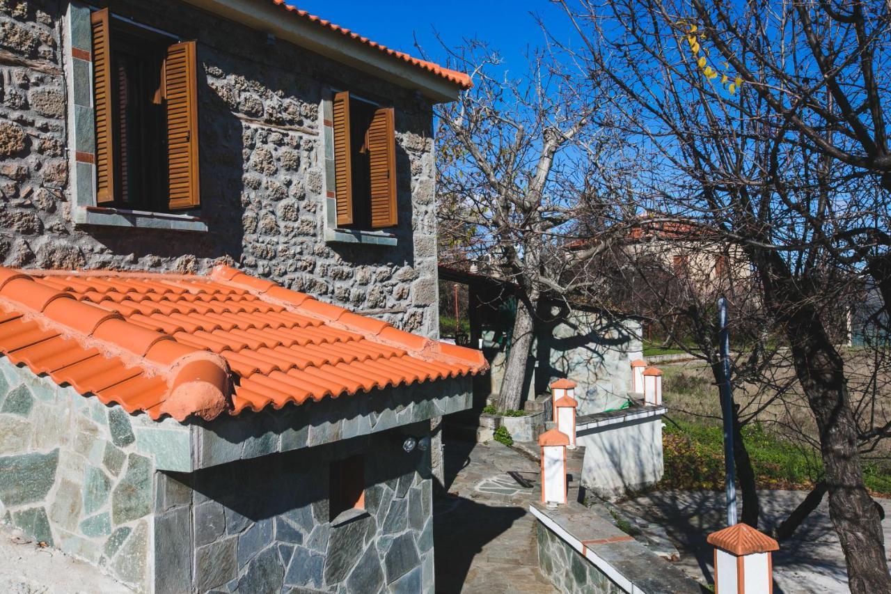 Вилла Litheon House Синикия-Меси-Трикала Экстерьер фото